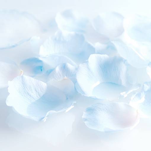 Light blue Fotoğraf Widget fikirleri[templates_P4qFzPtn0KdXLUWqyRJT_D67C9594-F937-4C95-8DF2-2A836BCBF4D5]
