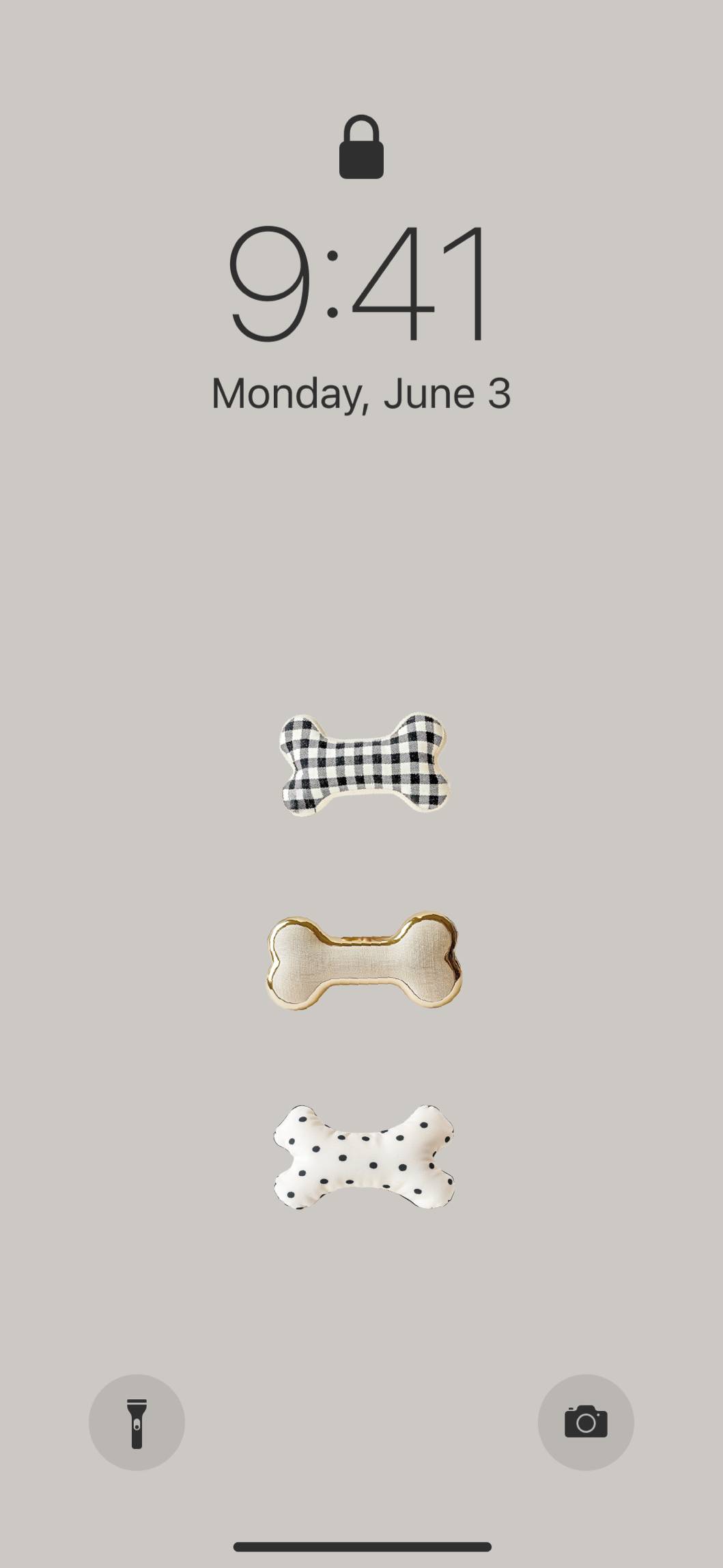 Chihuahuaایده های صفحه اصلی[oEMmY0tGigduOOuaw24j]