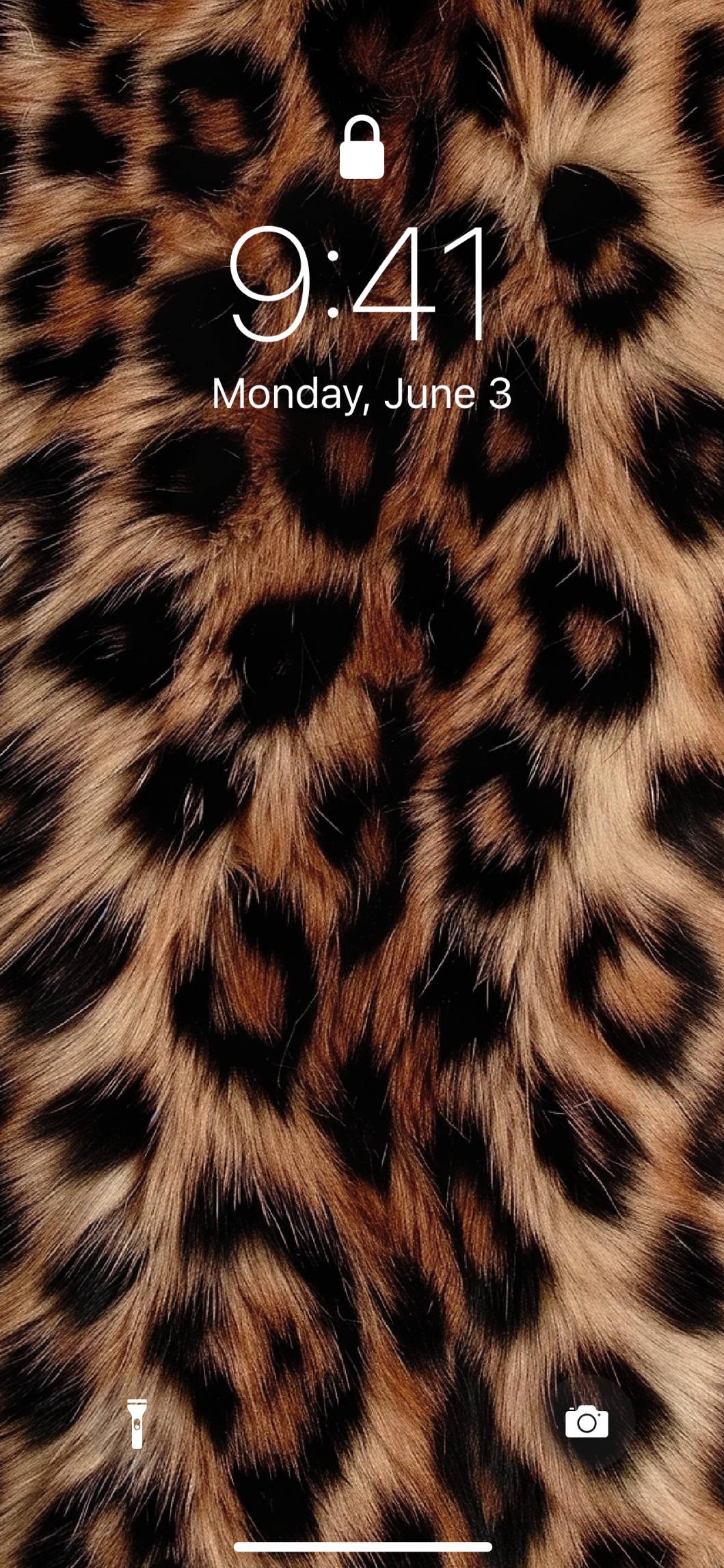 Panthera goldHome Screen ideas[EwljHEcKLGI36JC64NXP]