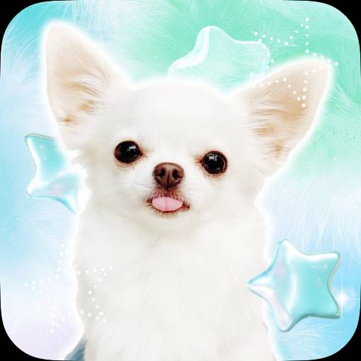Nyár Fénykép Widget ötletek[templates_mDnJ6CgWL9A1hNhsBbUN_8B1DA37F-BBC9-496A-B62C-573824F64D7E]
