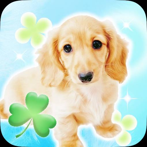 Nyár Fénykép Widget ötletek[templates_mDnJ6CgWL9A1hNhsBbUN_A7C27770-4B7F-4629-8BDD-09FC5F7D23EF]