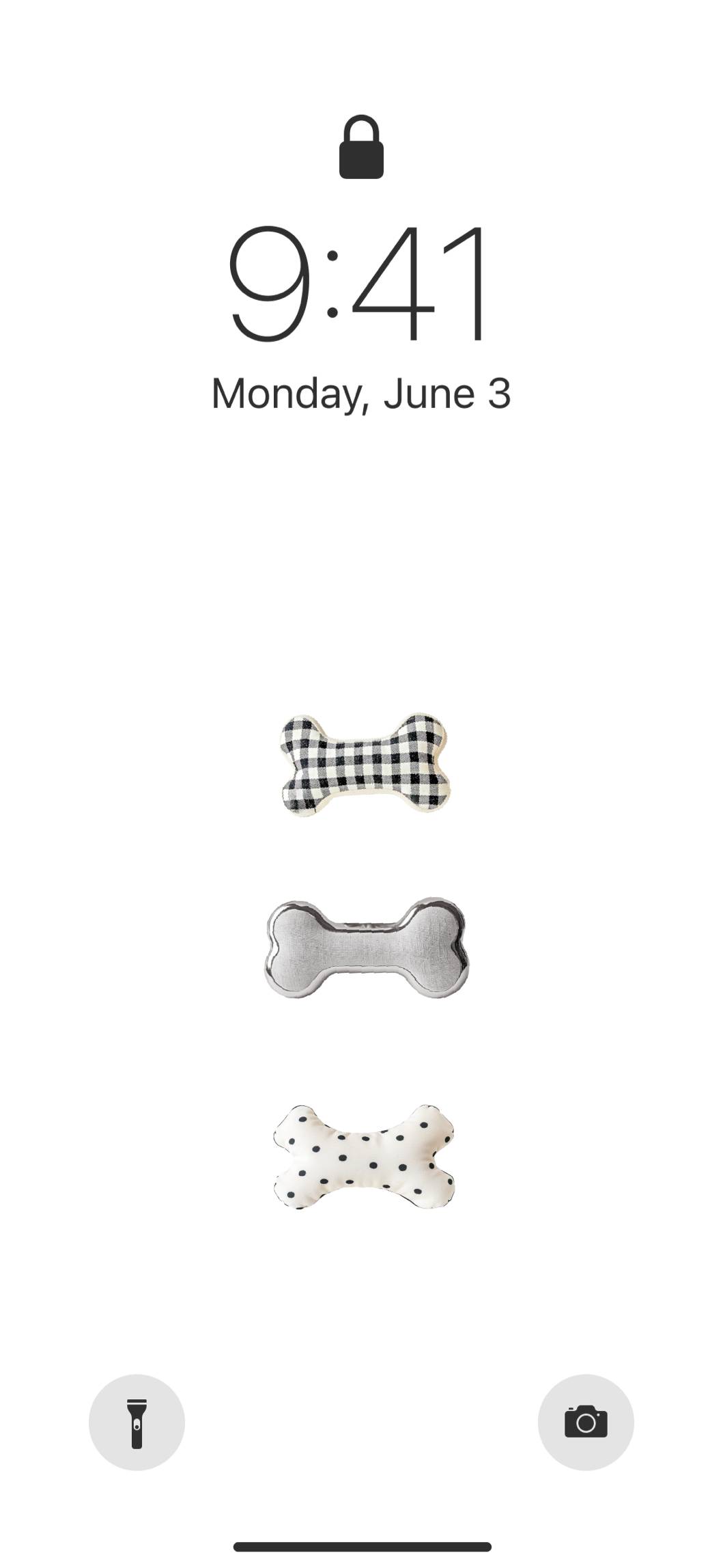 Maltese&Bichon friséایده های صفحه اصلی[MGpR382gvdoaDyz7nJlS]