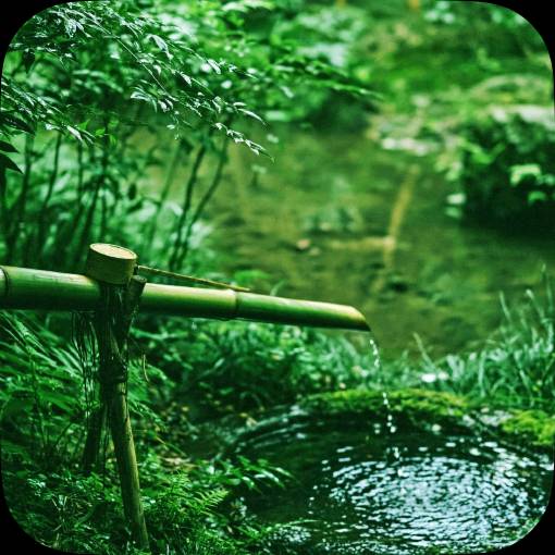 Verão foto Ideias de widgets[templates_qjbuzi788SojHEA5AHfm_3A577FDA-604C-483B-BBAE-CA1FAA3ADDE2]
