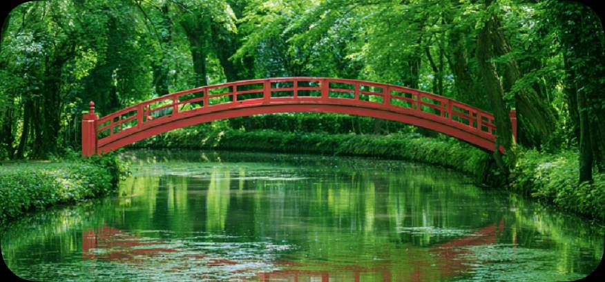 Verão foto Ideias de widgets[templates_qjbuzi788SojHEA5AHfm_61F7E6A9-47E9-4F83-B670-3CCFFA0CBD85]