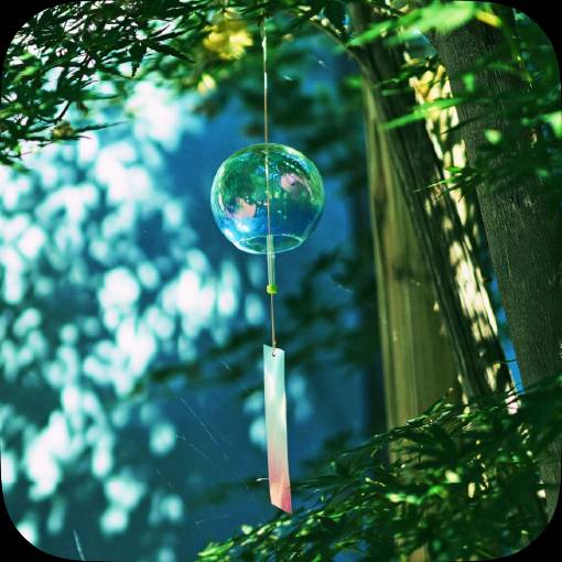 Verão foto Ideias de widgets[templates_qjbuzi788SojHEA5AHfm_FA7DF78F-40CD-457C-89C0-92C0B3229261]