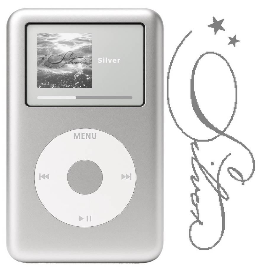 Silver Photo Widget ideas[dLXoIlBSIybixkFWJ3yC]