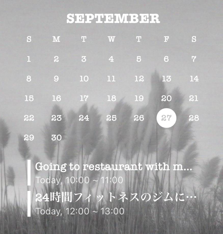 Cool Kalendar Ideje za widgete[templates_wEySngyZFS5YKuQhYHDX_51E4CDBA-12B4-4071-A0C9-C3A27E700536]