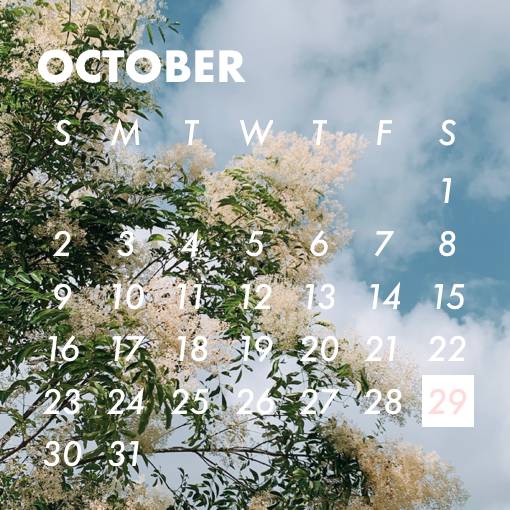街中風景(木と空) Calendario Ideas de widgets[PPPytdS2A2eLqQSoXrjm]