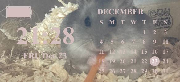 Kalender Vidinaideed[QA5TYbhLAnS7WDAAD9il]