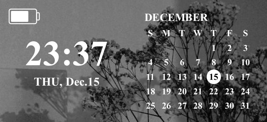 date Calendar Widget ideas[FpTwsVpyiylPAZPKZgQm]
