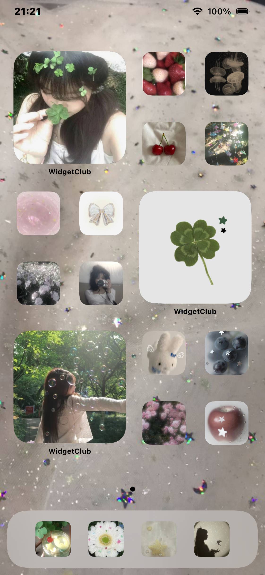 儚いHome Screen ideas[oqJashSQDLwHfJ4aOlzI]
