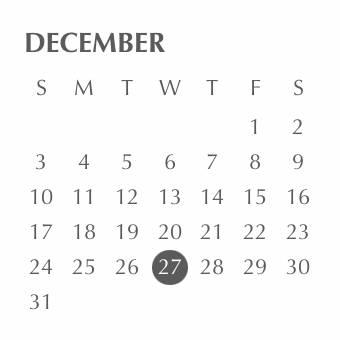 Calendar Widget ideas[6ZoRIzGQ0JwPEKvWe1vT]