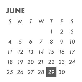 Calendar Widget ideas[9xT3XB9ZhgeeaPPBbxe0]