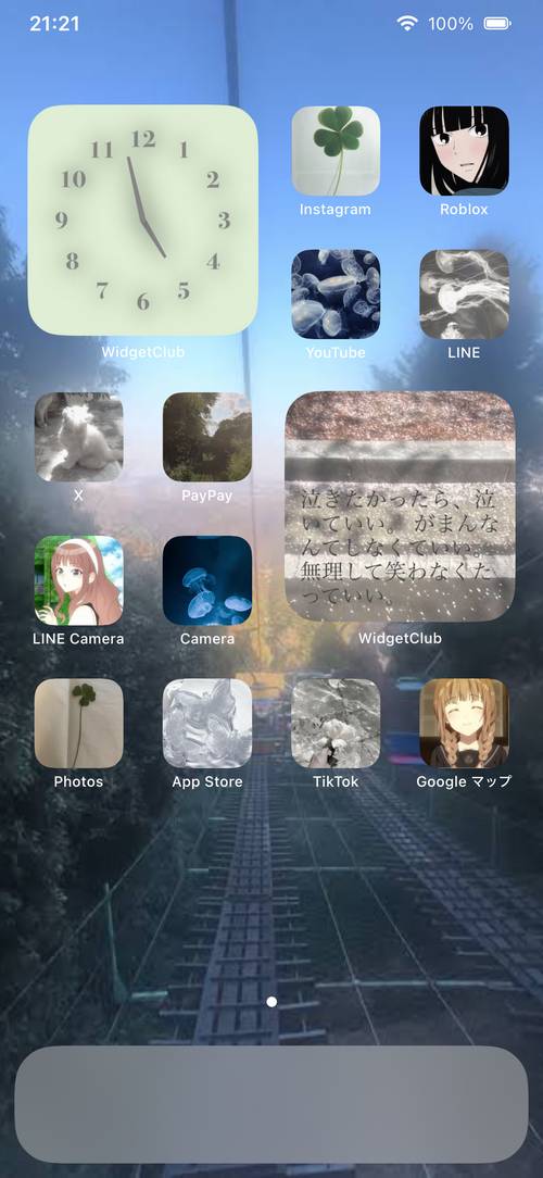 儚い Home Screen ideas[5FL4bEFFOU2Tkyl3BQin]