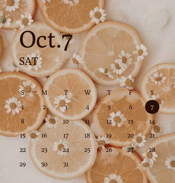 Calendar Widget ideas[templates_O3kekBGO0FNtqieJXVhC_F3BB5DBC-5911-4F61-BA98-A493B748204C]