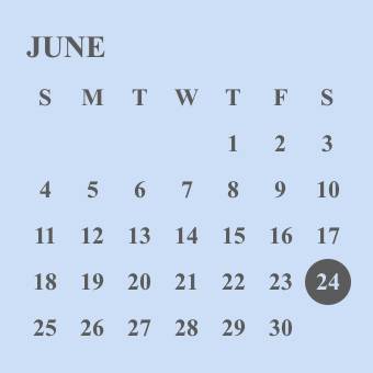 Calendar Widget ideas[KZTcU6c7gNDuSnQMaYvX]