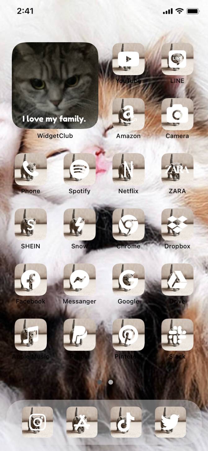 Cute catsAna Ekran fikirleri[Pzkyx1RexBSLsWWSfrVj]