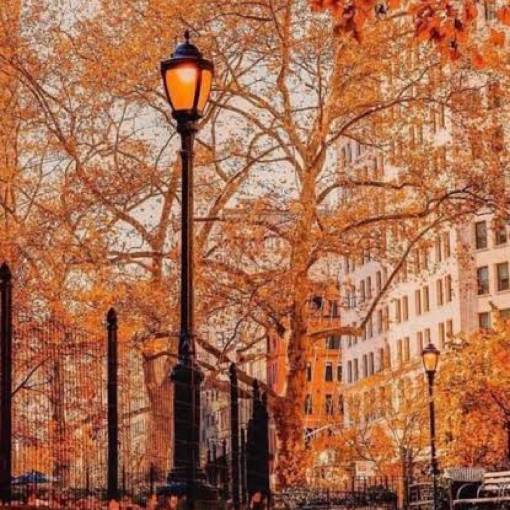 Photo Widget ideas[br14yQnMujLyV8KS7rWi]