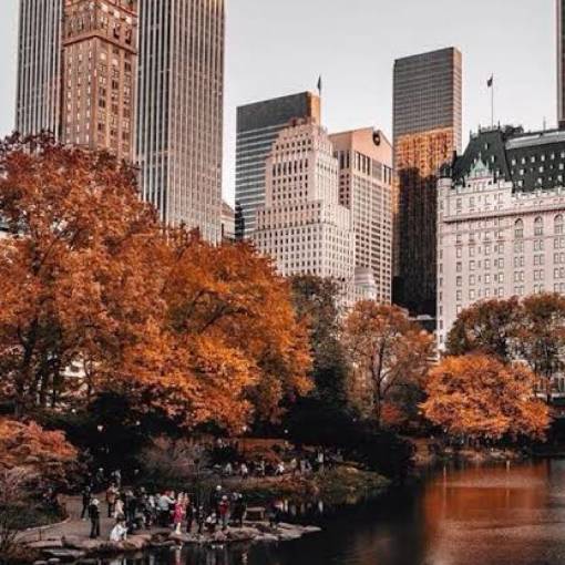Photo Widget ideas[br14yQnMujLyV8KS7rWi]