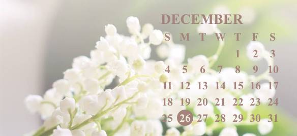 Calendar Widget ideas[S246BGokN2W2GWiEtSxy]