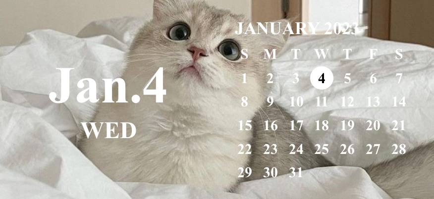 Kalender Ide widget[UEFfopV6aBLWQNALoW9V]