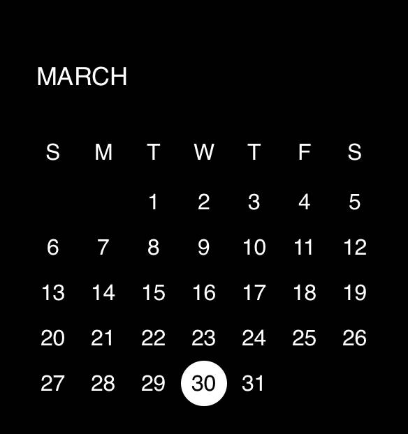 ♡ Calendar Widget ideas[93Jcflxhjx7StfansQLN]