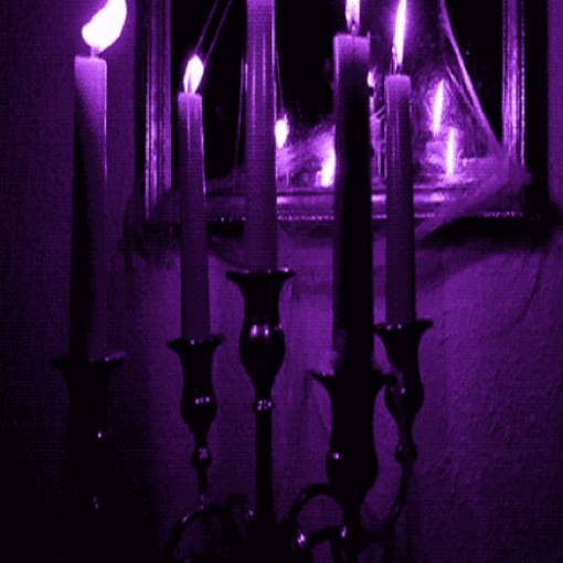 candles写真ウィジェット[hxMWJJ7Yoj4KaH5yg3IY]