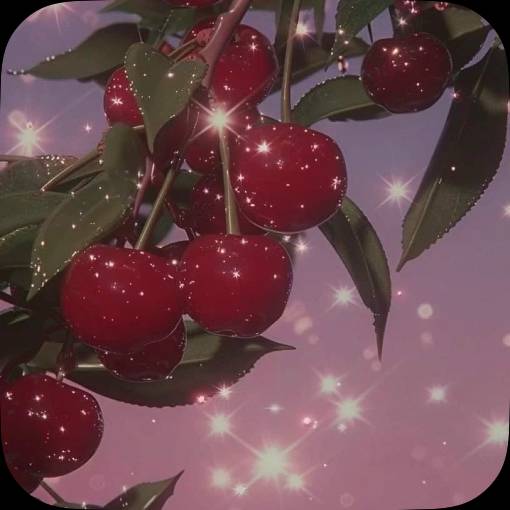 Photo Widget ideas[xVayRzHRTaIVdV4TaGe0]