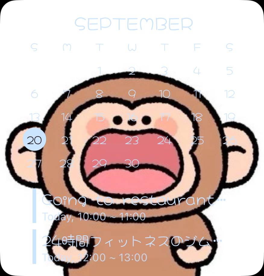 Calendar Widget ideas[VGCi3oCFyYZ1XqilBApb]