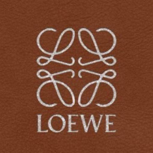 LOEWE写真ウィジェット[RwgVt8dqBtaLmpIAW3wU]