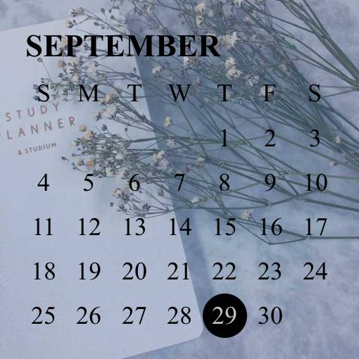 Calendar Widget ideas[NFovPqdBR2RaH3L99jF2]