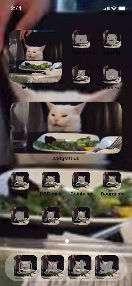 Meme cat 🐈Home Screen ideas[qpT6cK5rRgUqhYCnoOft]