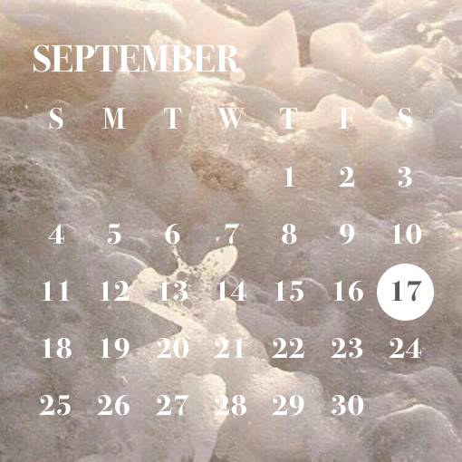 Calendar Idei de widgeturi[qseRoJ7sIicBlPYAYZKK]