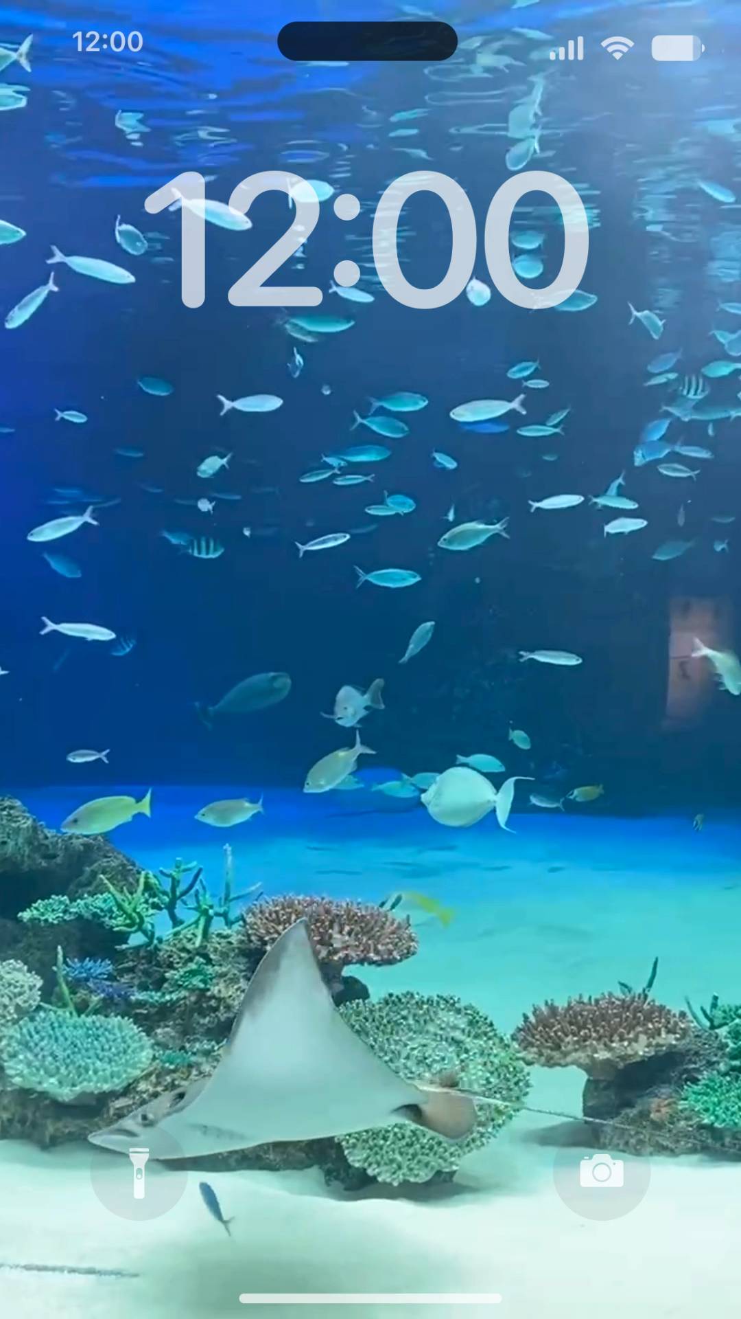 Aquarium fish live wallpaper Live Wallpaper[EoGMKgZ0Fq30OoVpJQdl]