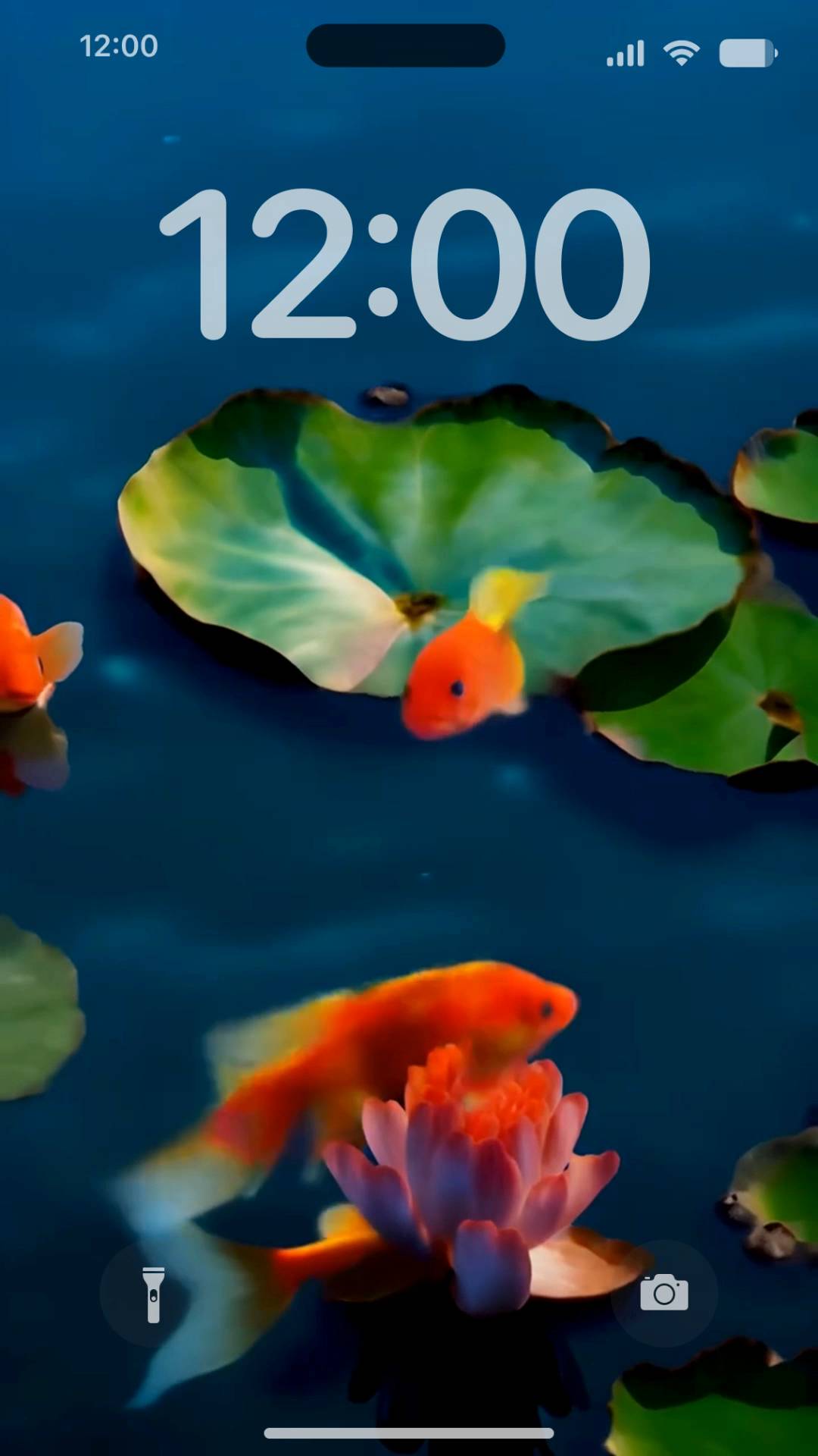 Mysterious weired Gold fish pond Live Wallpaper[aH6nR21bZRrFAobP7pYG]