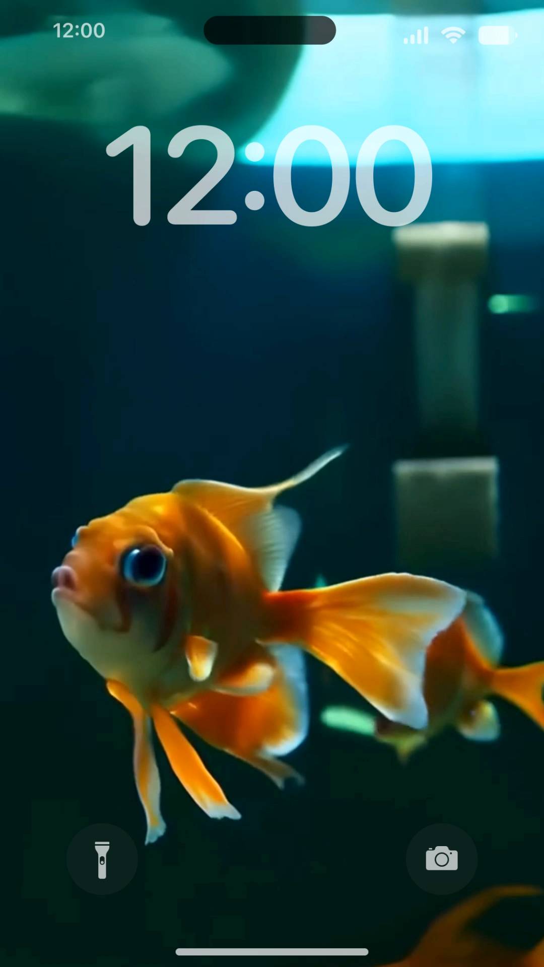 Goldfish swiming Live Wallpaper[68LIiUJwKHUOCRd76Csr]