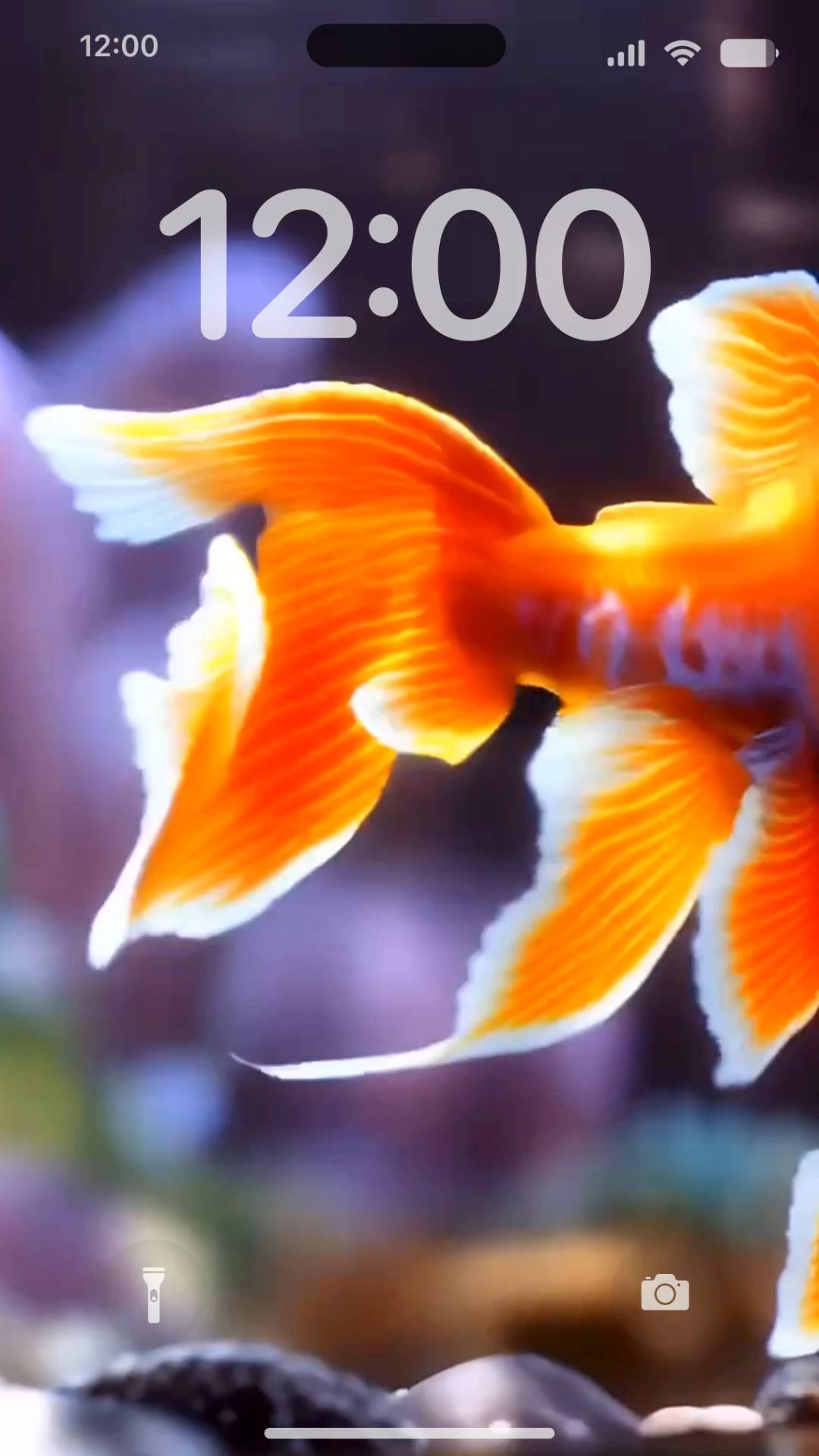 Goldfish Live Wallpaper[baDxiXqpZuDfQJbUfMhl]