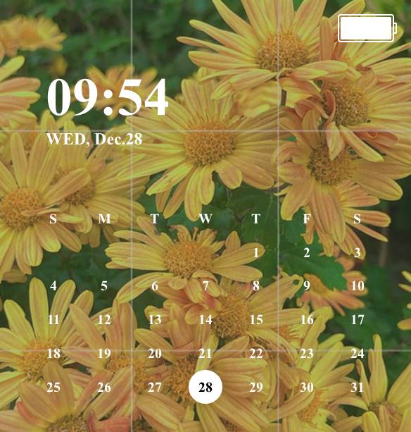 calendar Kalender Widget-ideeën[h7j9vv1tuB7xya38vibY]