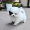 Littlebylittle