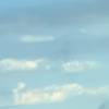 altohorn806