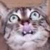 ピー