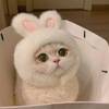 うに
