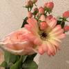 Berry Mix9653