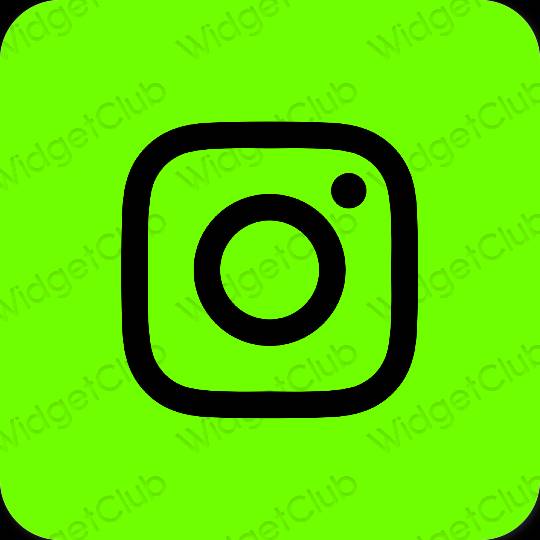 审美的 绿色 Instagram 应用程序图标