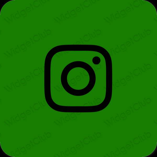 زیبایی شناسی سبز Instagram آیکون های برنامه