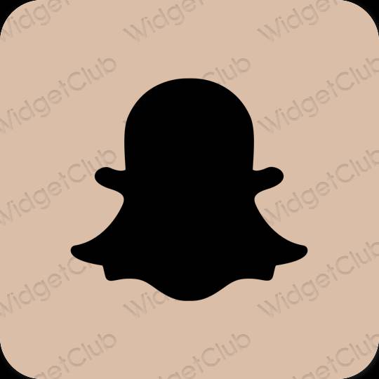 эстетический бежевый snapchat значки приложений
