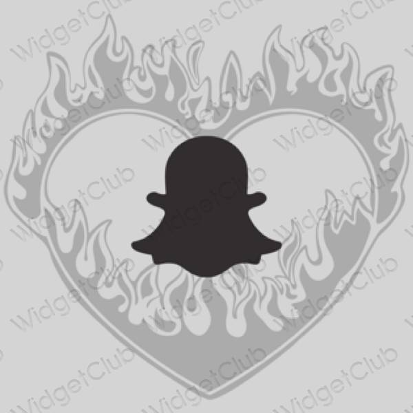 Aesthetic gray snapchat app icons