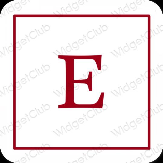 Esthetische Etsy app-pictogrammen
