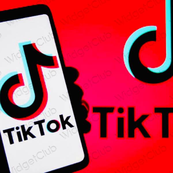 审美的 红色的 TikTok 应用程序图标
