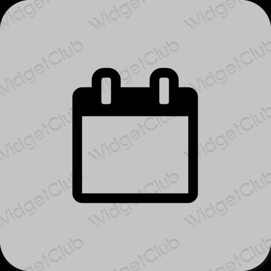 Estetsko siva Calendar ikone aplikacij